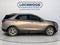 2019 Chevrolet Equinox Premier (1LZ)