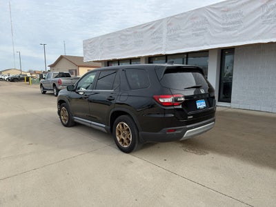 2024 Honda Pilot EX-L 8 Passenger